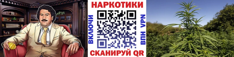 Наркошоп Хабаровск Cocaine  Мефедрон  Альфа ПВП  Псилоцибиновые грибы  ГАШ  Канабис  АМФЕТАМИН 