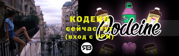 соль ск Няндома