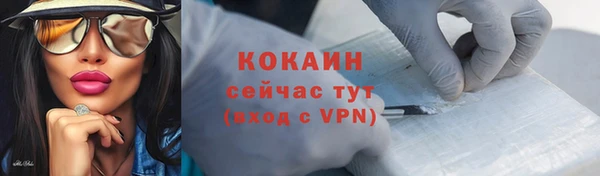 соль ск Няндома