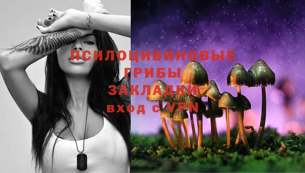 твердый Нязепетровск