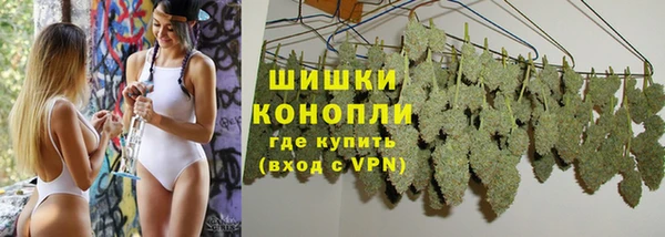 соль ск Няндома