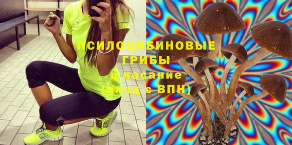 СК Новозыбков