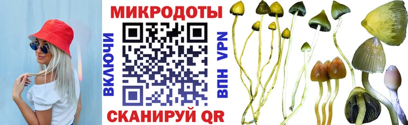 Псилоцибиновые грибы ЛСД Хабаровск