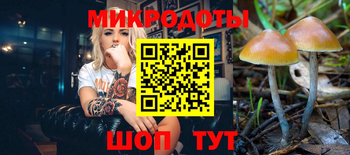 Галлюциногенные грибы GOLDEN TEACHER  где можно купить   Псилоцибиновые грибы GOLDEN TEACHER  Хабаровск 