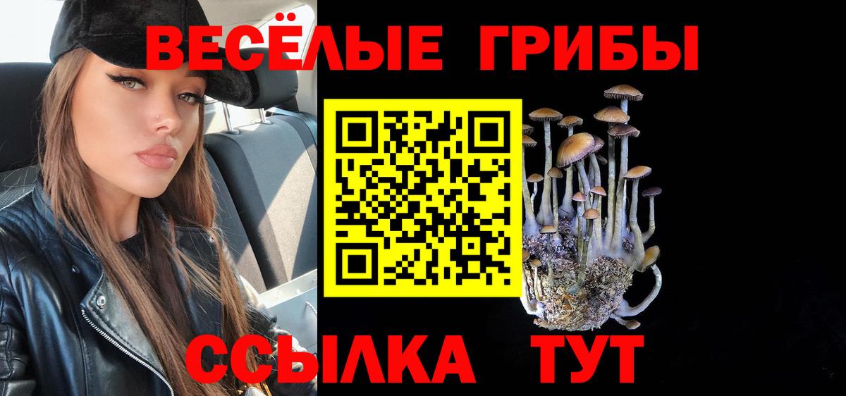 Псилоцибиновые грибы GOLDEN TEACHER  Вход с VPN  Хабаровск 